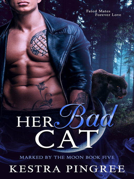 Cover image for Her Bad Cat